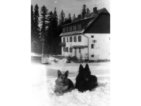 Foto 15